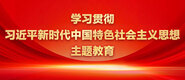 啊啊啊操逼啊啊啊学习贯彻习近平新时代中国特色社会主义思想主题教育_fororder_ad-371X160(2)